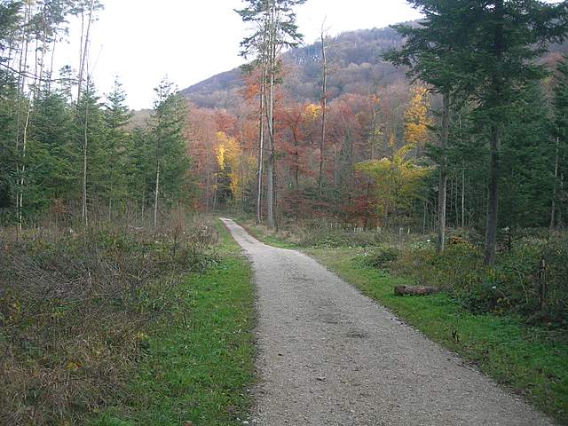 Prima  dell�era  glaciale